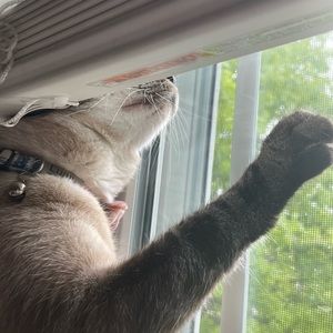 Meet your Posher, Braelyn